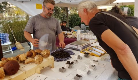Truffelfeest Alba Piemonte