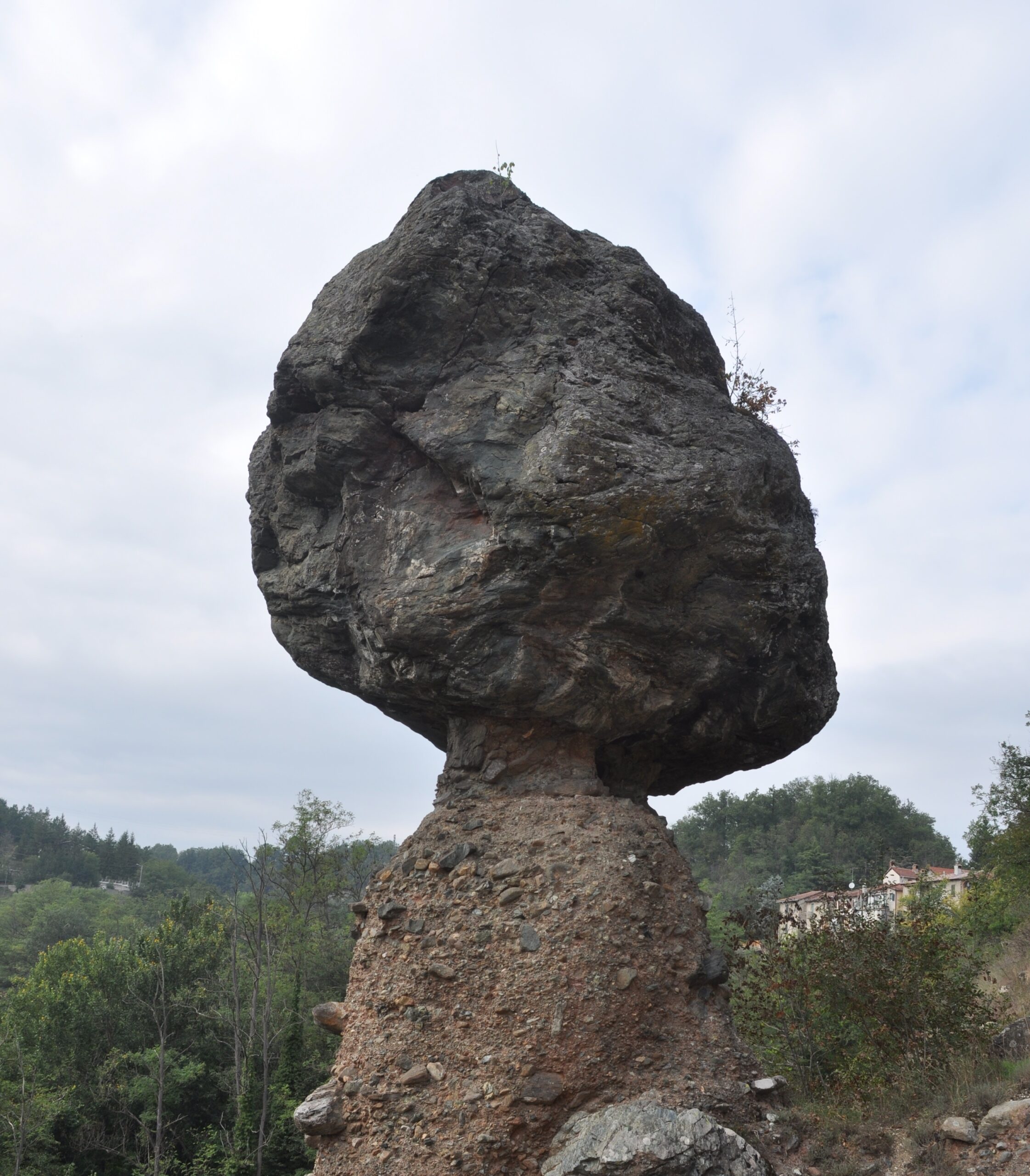 Il Fungo Piana Crixia