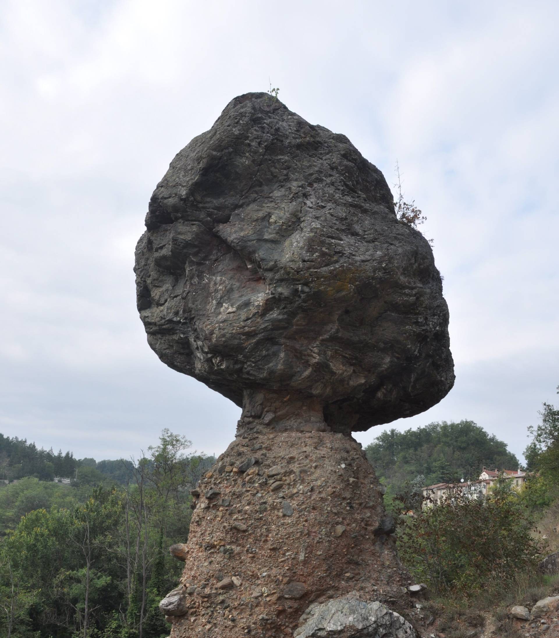 Il Fungo Piana Crixia