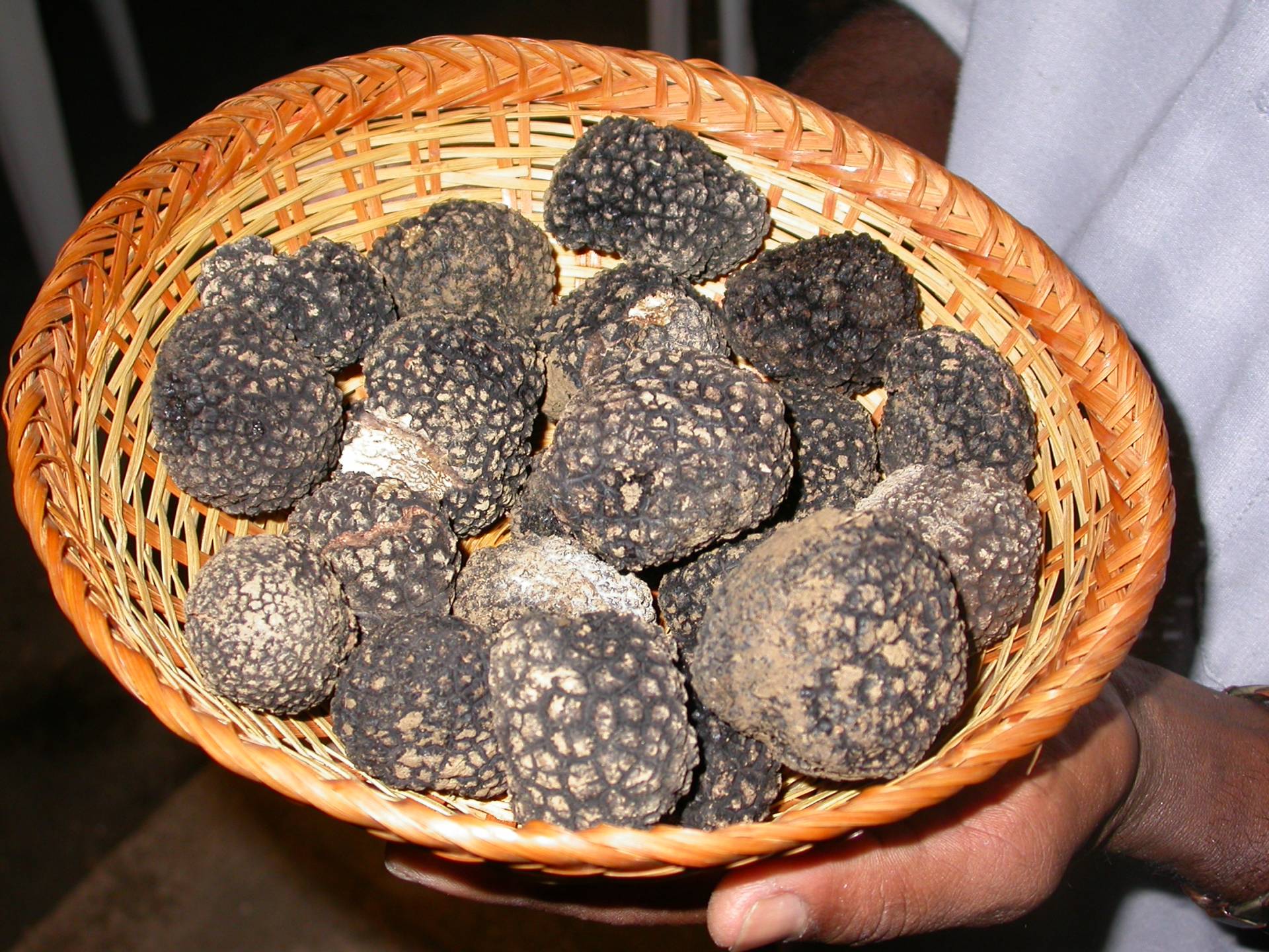 Truffels Piemonte