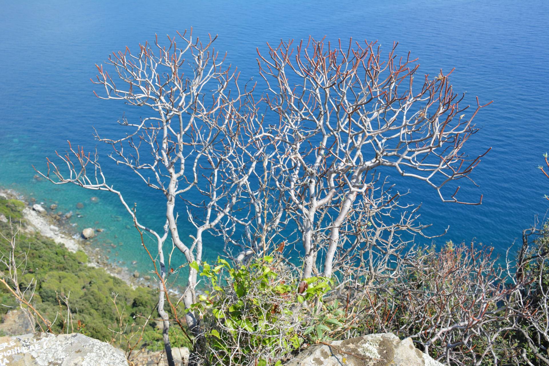 Ligurië aan zee wandelen