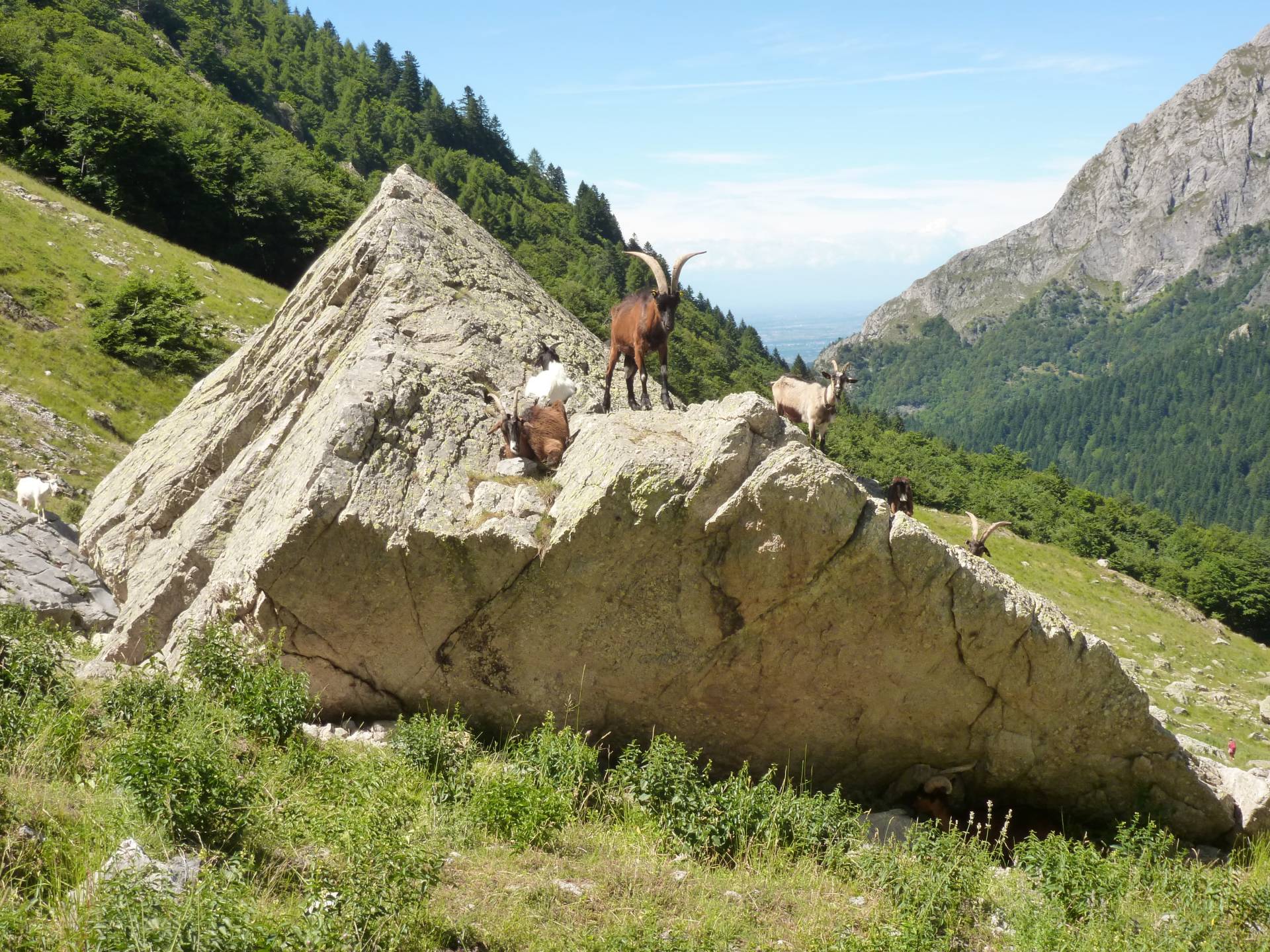 Italiaanse Alpen Piemonte